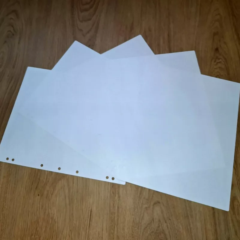 Interleaves sheets for coin album. White
