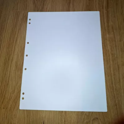 Interleaves sheets for coin album. White