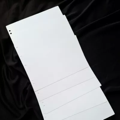 Interleaves sheets for coin album. White